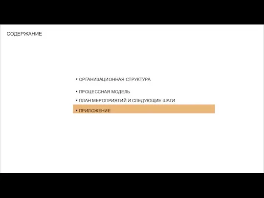 ОРГАНИЗАЦИОННАЯ СТРУКТУРА ПРОЦЕССНАЯ МОДЕЛЬ ПЛАН МЕРОПРИЯТИЙ И СЛЕДУЮЩИЕ ШАГИ ПРИЛОЖЕНИЕ СОДЕРЖАНИЕ