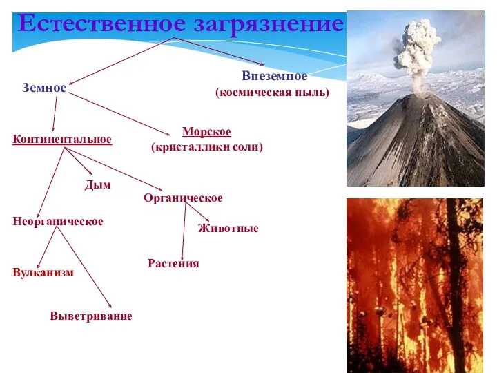 Естественное загрязнение Земное Внеземное (космическая пыль) Континентальное Морское (кристаллики соли)