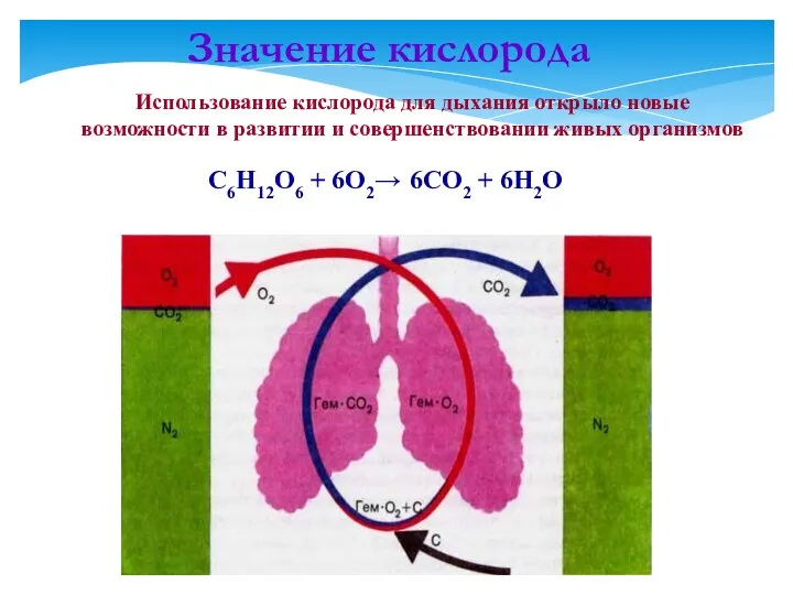 C6H12O6 + 6O2→ 6CO2 + 6H2O Значение кислорода Использование кислорода