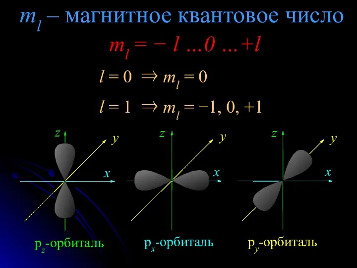 ml – магнитное квантовое число ml = − l …0