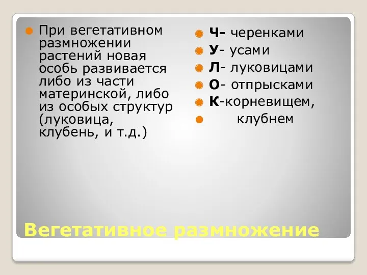 Вегетативное размножение При вегетативном размножении растений новая особь развивается либо