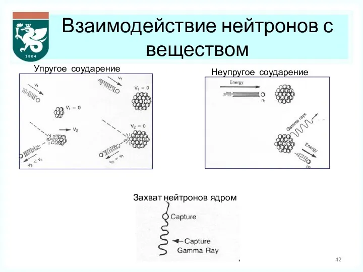 Взаимодействие нейтронов с веществом Упругое соударение Неупругое соударение Захват нейтронов ядром