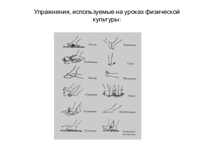 Упражнения, используемые на уроках физической культуры: