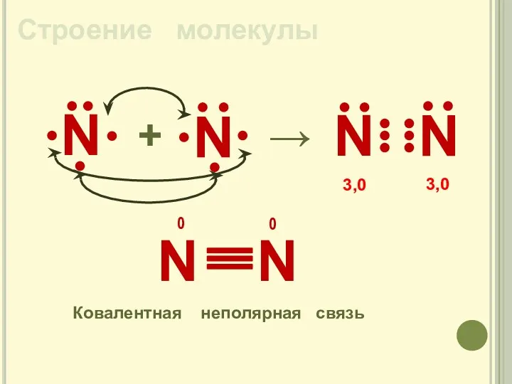 Строение молекулы N + → N Ковалентная неполярная связь 3,0 3,0 0 0