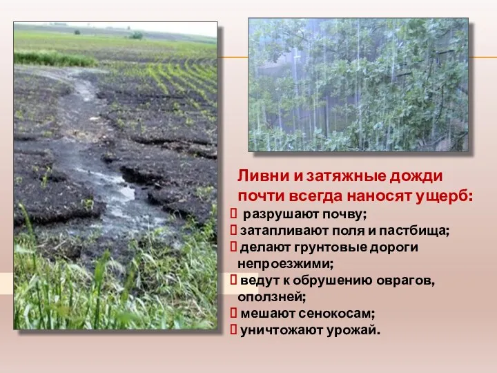 Ливни и затяжные дожди почти всегда наносят ущерб: разрушают почву;