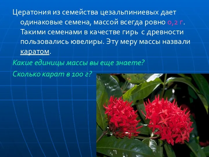 Цератония из семейства цезальпиниевых дает одинаковые семена, массой всегда ровно