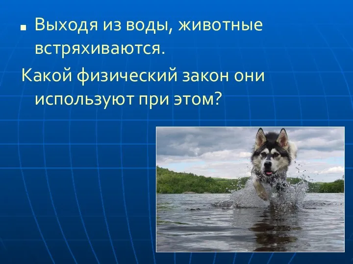 Выходя из воды, животные встряхиваются. Какой физический закон они используют при этом?