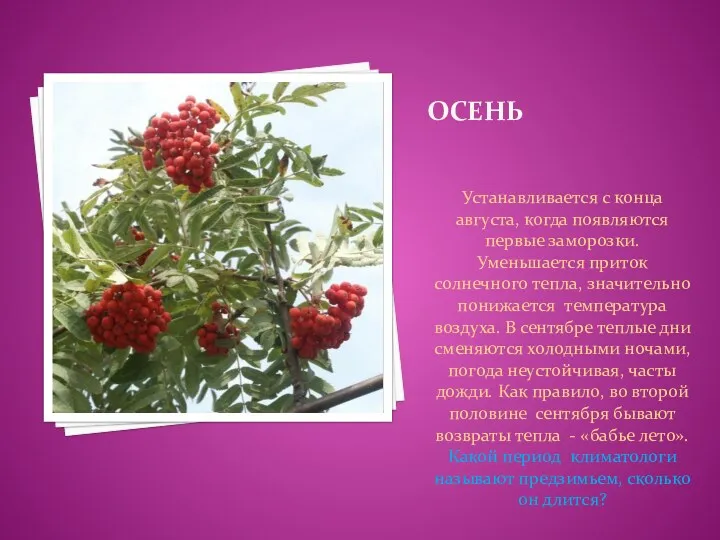 ОСЕНЬ Устанавливается с конца августа, когда появляются первые заморозки. Уменьшается