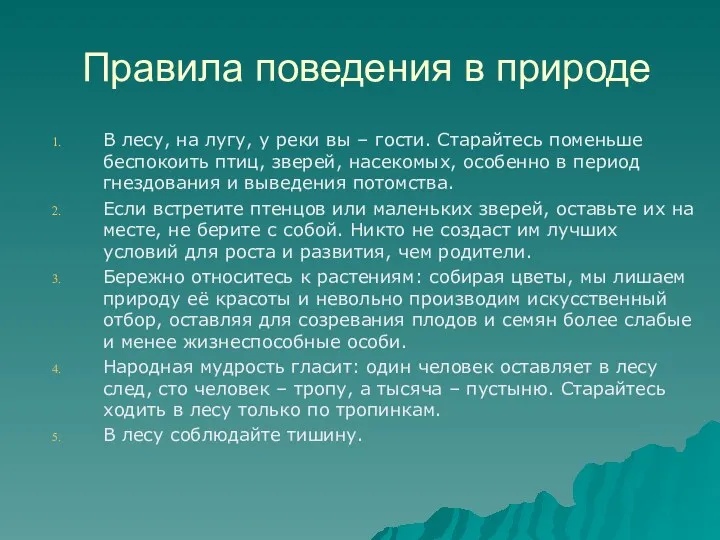 Правила поведения в природе В лесу, на лугу, у реки