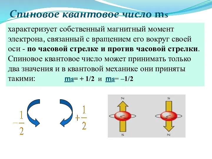 Спиновое квантовое число ms характеризует собственный магнитный момент электрона, связанный