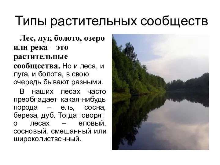 Типы растительных сообществ Лес, луг, болото, озеро или река –