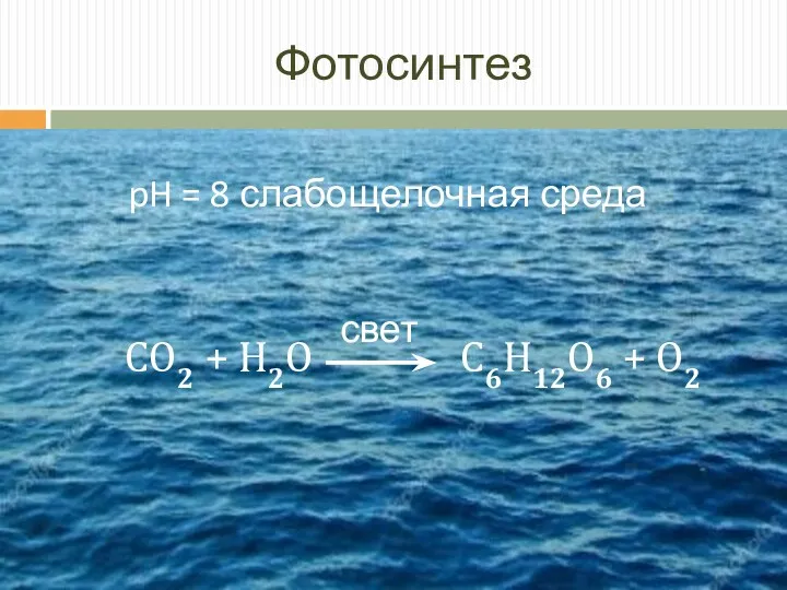 Фотосинтез pH = 8 слабощелочная среда