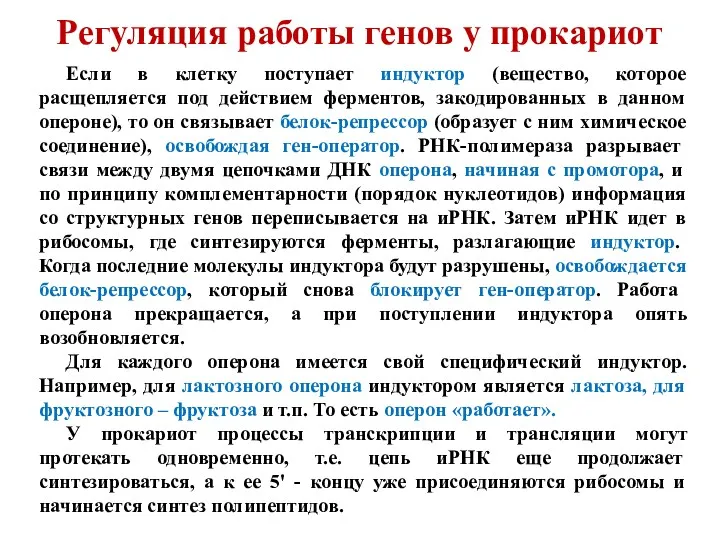 Регуляция работы генов у прокариот Если в клетку поступает индуктор