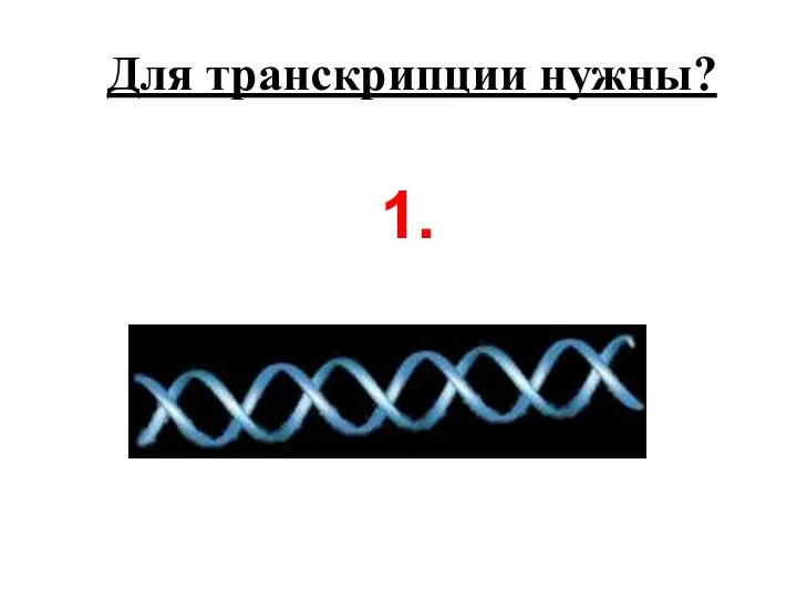 Для транскрипции нужны? 1.