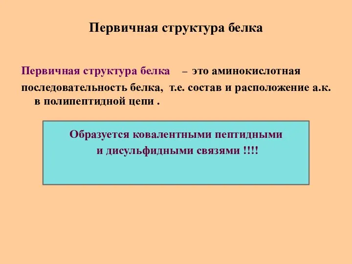 Первичная структура белка Первичная структура белка – это аминокислотная последовательность