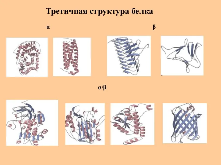 Третичная структура белка α β α/β