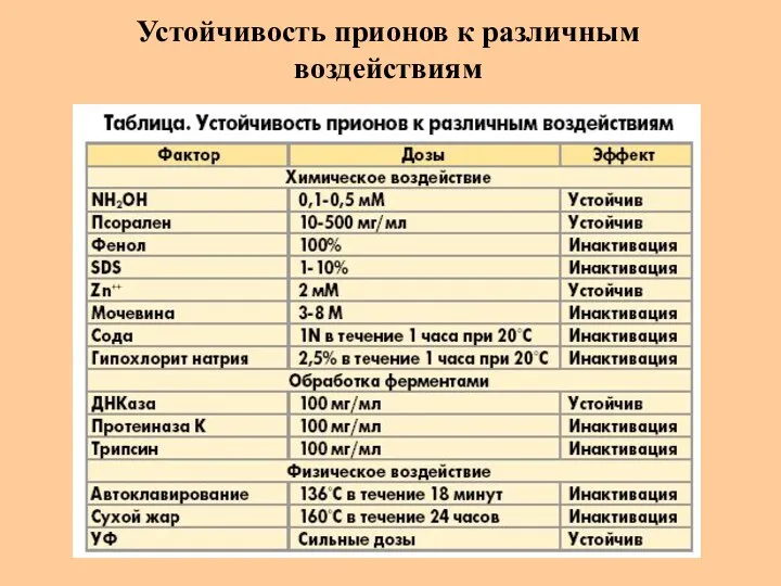 Устойчивость прионов к различным воздействиям