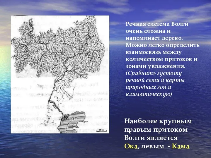 Речная система Волги очень сложна и напоминает дерево. Можно легко