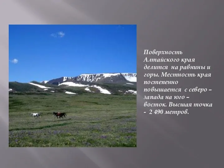 Поверхность Алтайского края делится на равнины и горы. Местность края постепенно повышается с