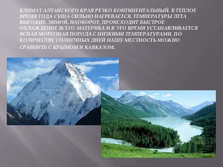 КЛИМАТ АЛТАЙСКОГО КРАЯ РЕЗКО КОНТИНЕНТАЛЬНЫЙ. В ТЕПЛОЕ ВРЕМЯ ГОДА СУША СИЛЬНО НАГРЕВАЕТСЯ, ТЕМПЕРАТУРЫ