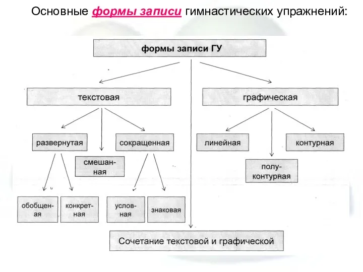 Основные формы записи гимнастических упражнений: