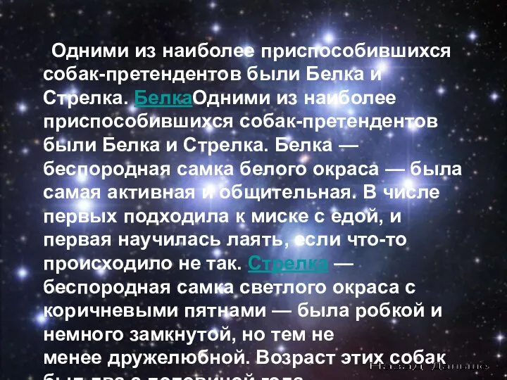 Одними из наиболее приспособившихся собак-претендентов были Белка и Стрелка. БелкаОдними