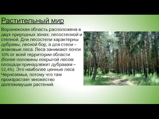 Растительный мир Воронежская область расположена в двух природных зонах: лесостепной