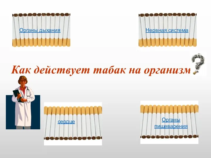 Как действует табак на организм Органы дыхания Нервная система сердце Органы пищеварения