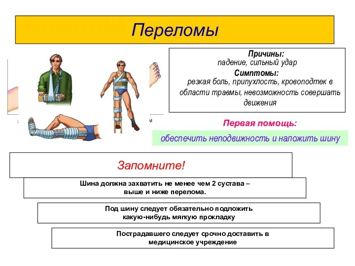 Переломы Запомните! падение, сильный удар Причины: Симптомы: резкая боль, припухлость,