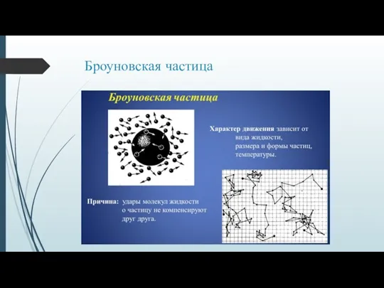 Броуновская частица