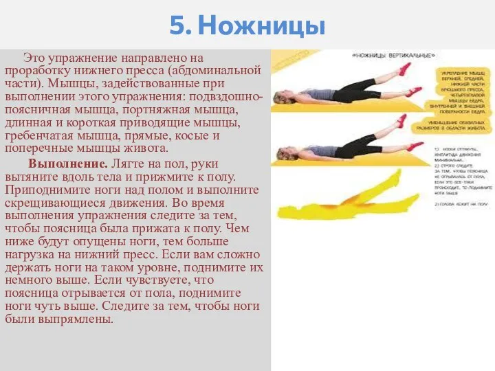 5. Ножницы Это упражнение направлено на проработку нижнего пресса (абдоминальной