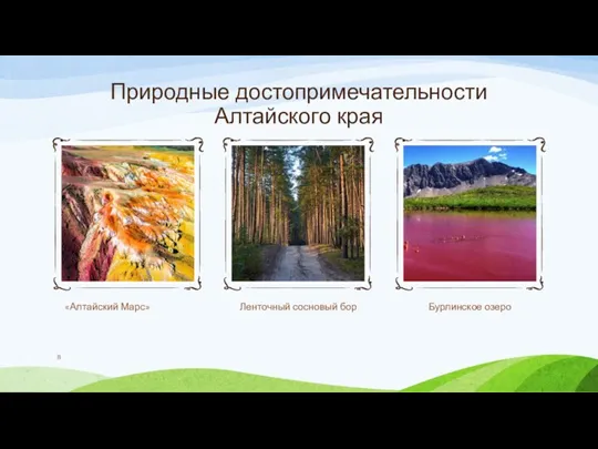Природные достопримечательности Алтайского края «Алтайский Марс» Ленточный сосновый бор Бурлинское озеро