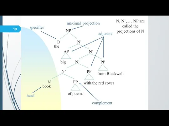 THEORETICAL ENGLISH GRAMMAR LECTURE 8 PHRASE