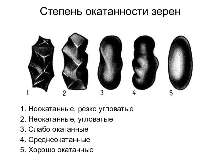 Степень окатанности зерен 1. Неокатанные, резко угловатые 2. Неокатанные, угловатые