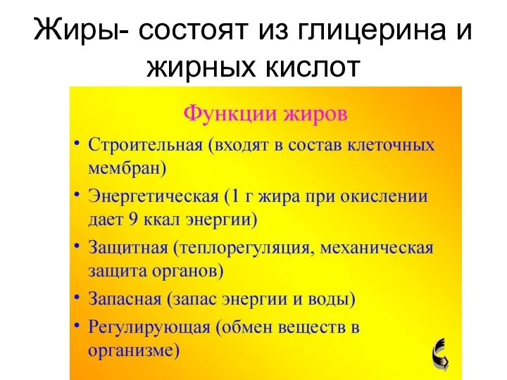 Жиры- состоят из глицерина и жирных кислот