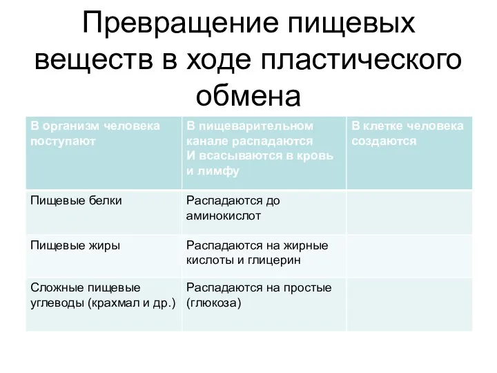 Превращение пищевых веществ в ходе пластического обмена