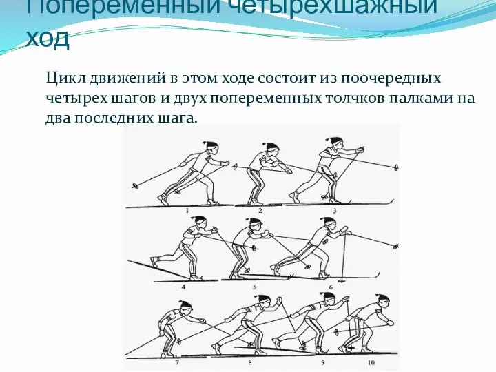 Попеременный четырехшажный ход Цикл движений в этом ходе состоит из