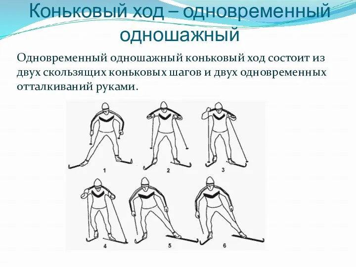 Коньковый ход – одновременный одношажный Одновременный одношажный коньковый ход состоит