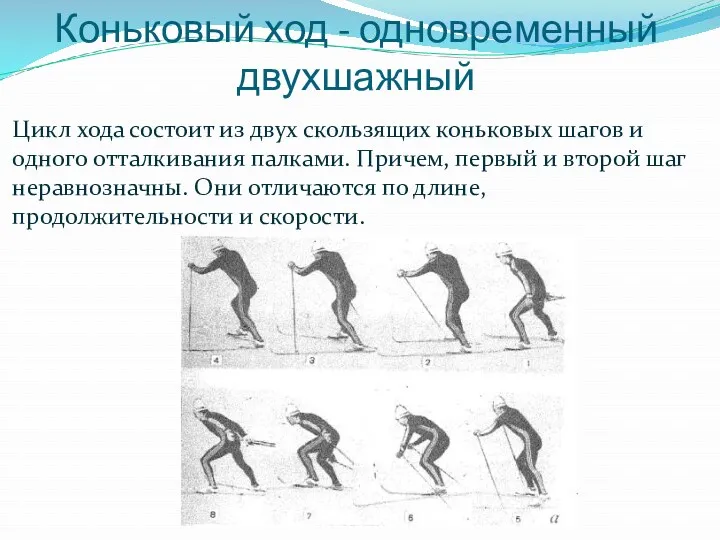 Коньковый ход - одновременный двухшажный Цикл хода состоит из двух