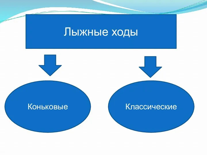 Коньковые Классические Лыжные ходы