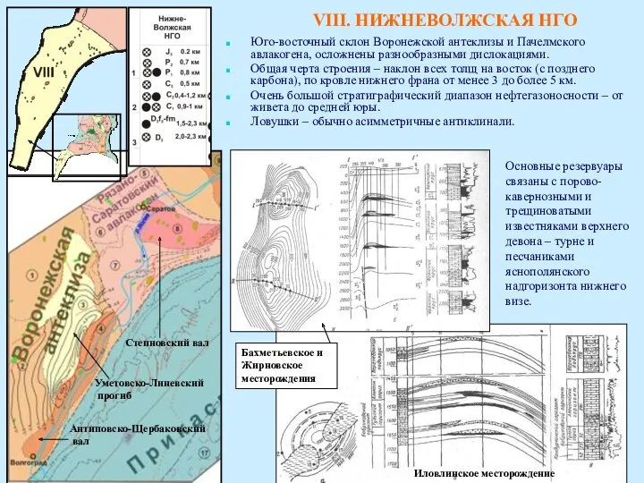 Юго-восточный склон Воронежской антеклизы и Пачелмского авлакогена, осложнены разнообразными дислокациями. Общая черта строения