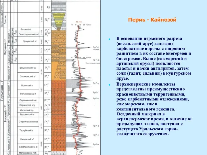 В основании пермского разреза (ассельский ярус) залегают карбонатные породы с