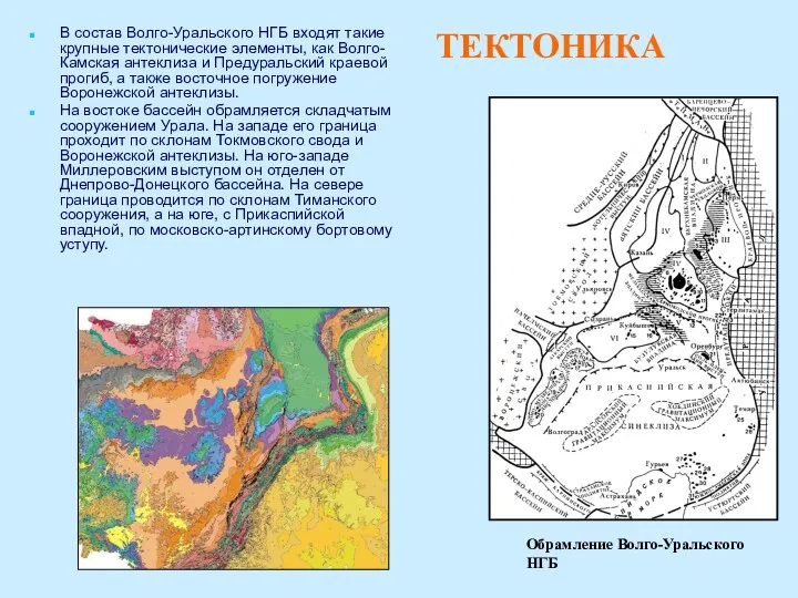 ТЕКТОНИКА В состав Волго-Уральского НГБ входят такие крупные тектонические элементы, как Волго-Камская антеклиза