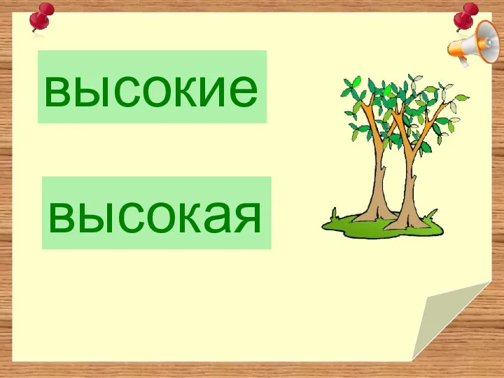 высокие высокая