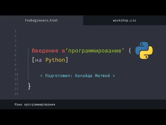 Введение в программирование на Python