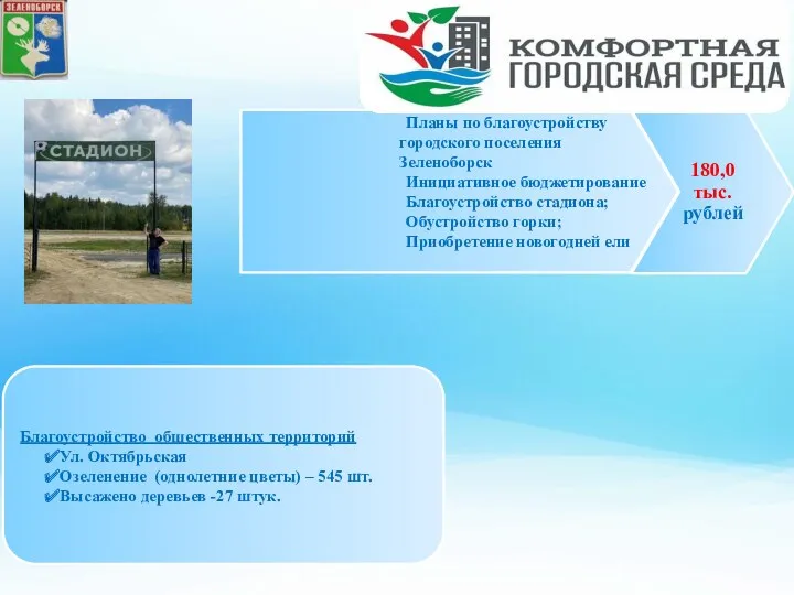 Планы по благоустройству городского поселения Зеленоборск Инициативное бюджетирование Благоустройство стадиона;