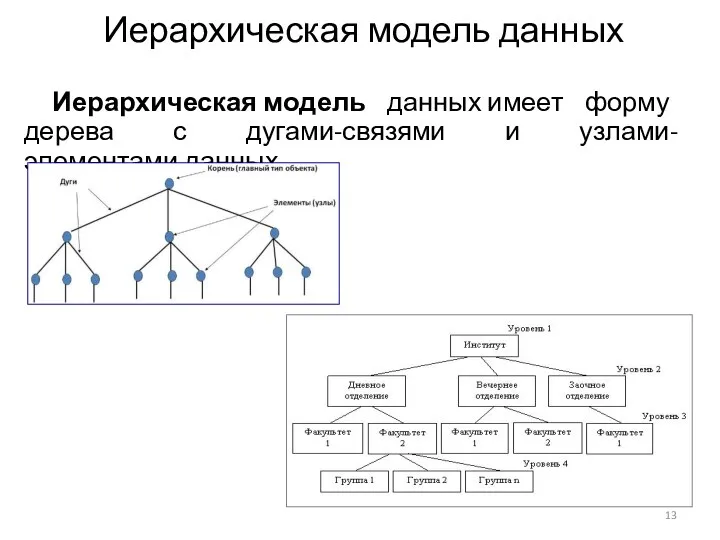 Иерархическая модель данных Иерархическая модель данных имеет форму дерева с дугами-связями и узлами-элементами данных.