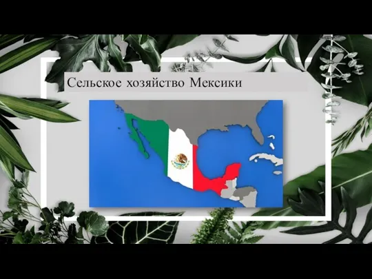 Сельское хозяйство Мексики