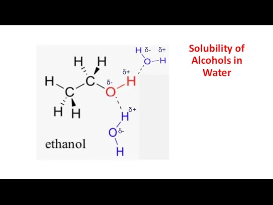Solubility of Alcohols in Water δ- δ+ δ+ δ+ δ- δ-