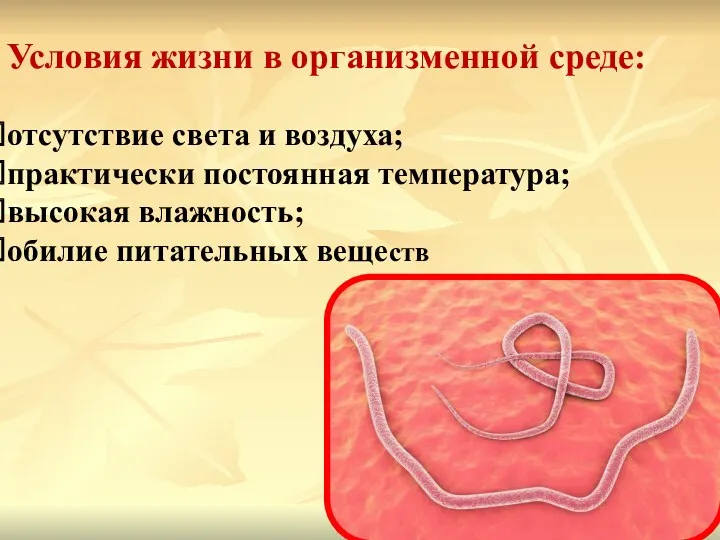 Условия жизни в организменной среде: отсутствие света и воздуха; практически